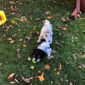 Meet your Posher, Robyn